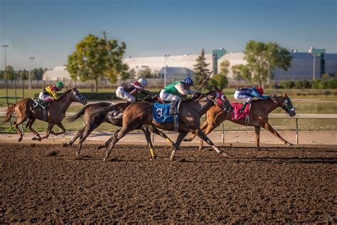 edmonton horse races|Racing .